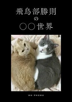ブックレット「飛鳥部勝則の〇〇世界」