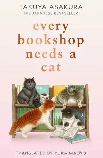 every bookshop needs a cat